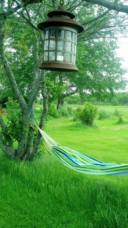 Lovely Green Gable Home Miscouche Экстерьер фото